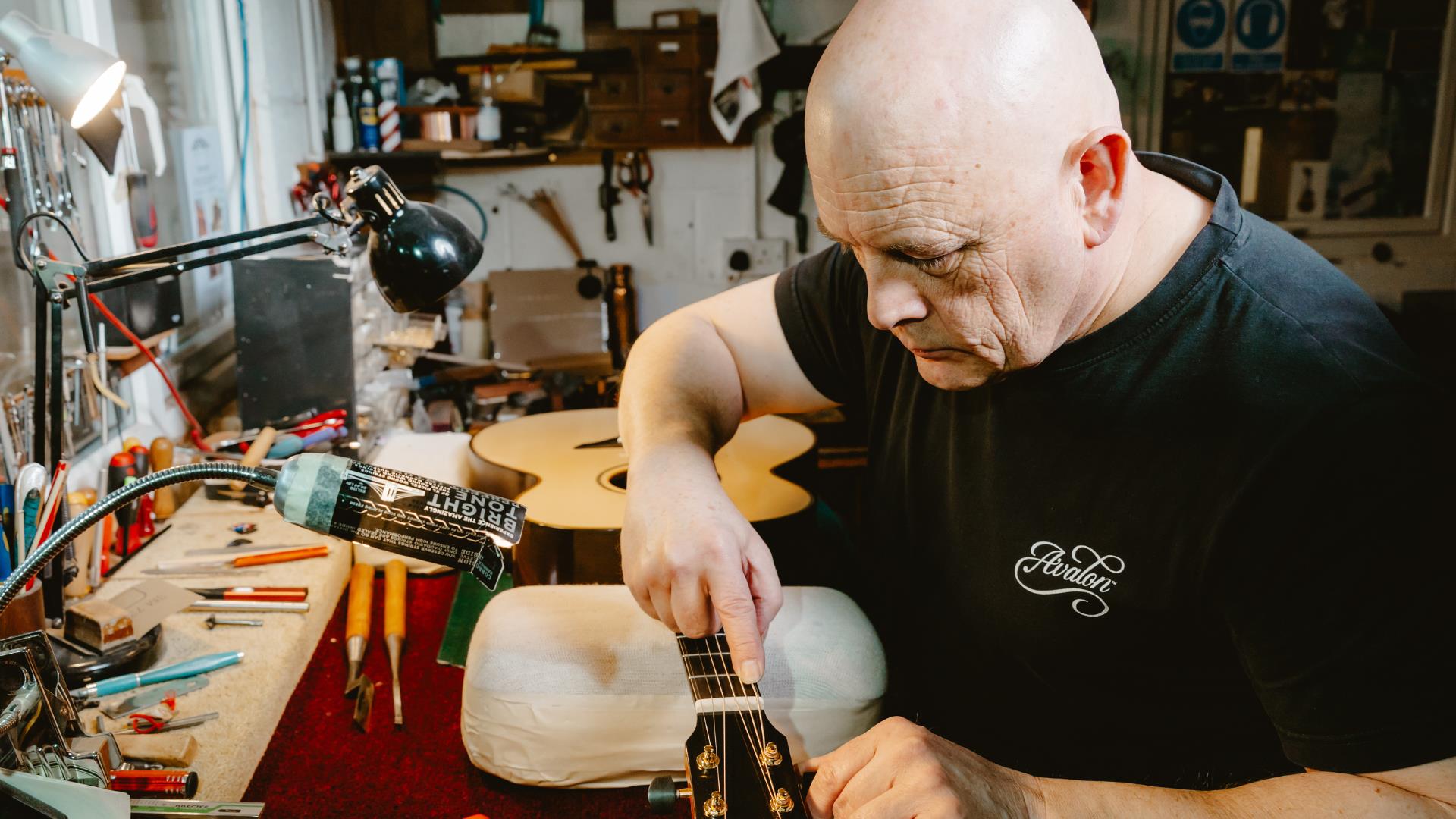 Avalon Guitars