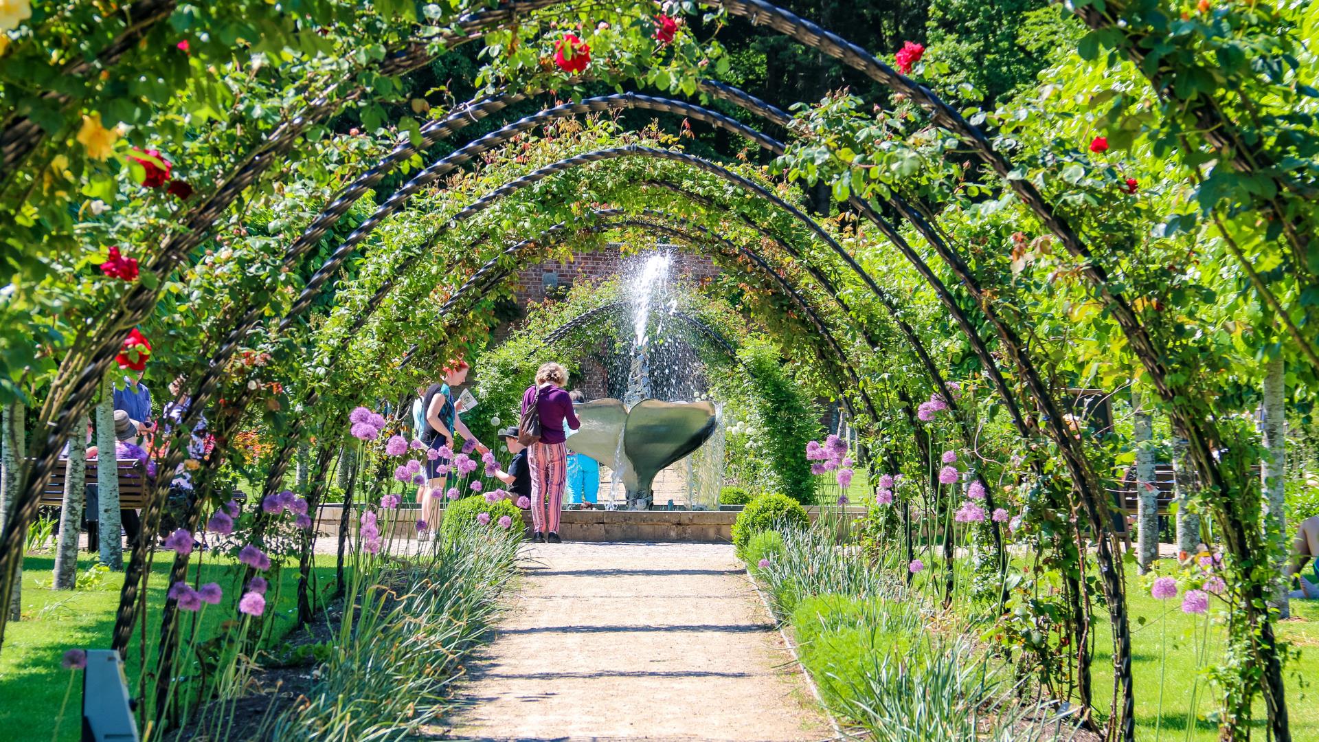 Bangor Castle Walled Garden founta