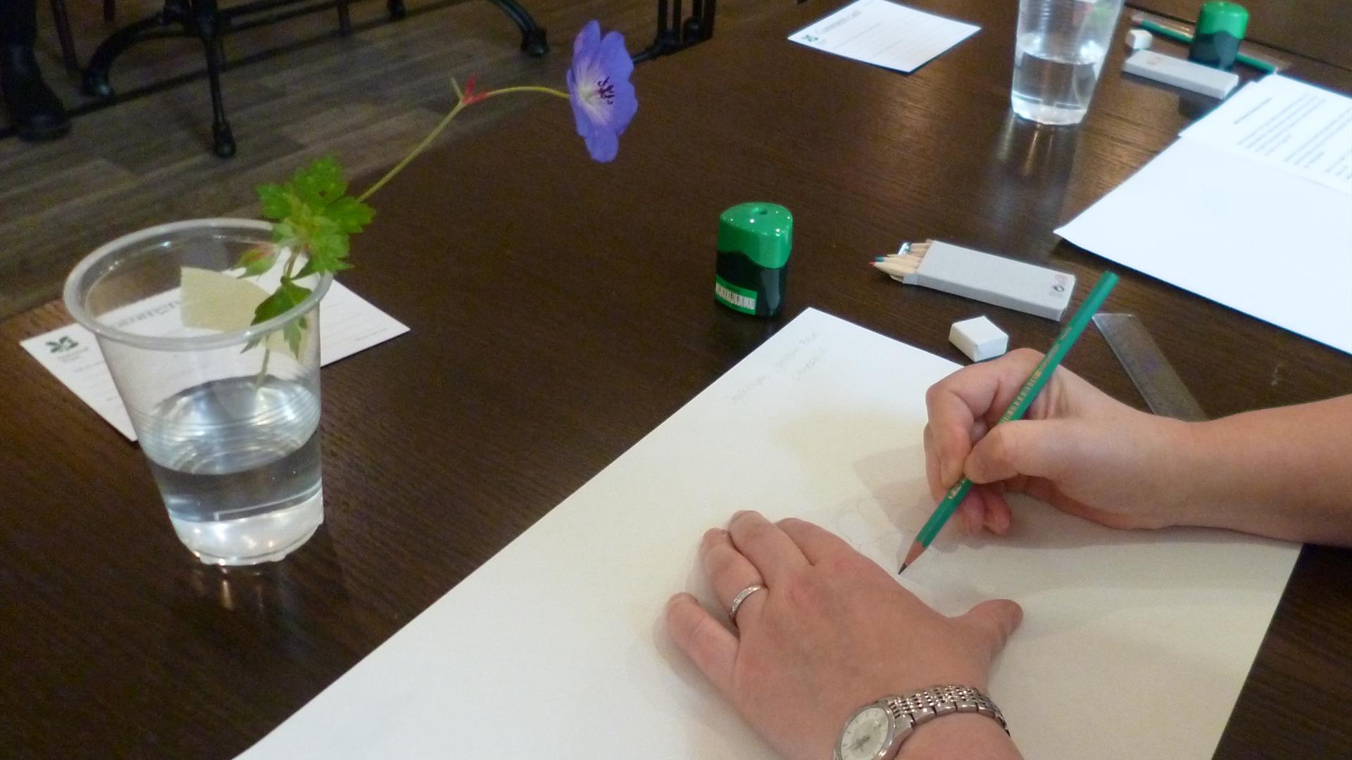 Art workshop  at Mount Stewart
