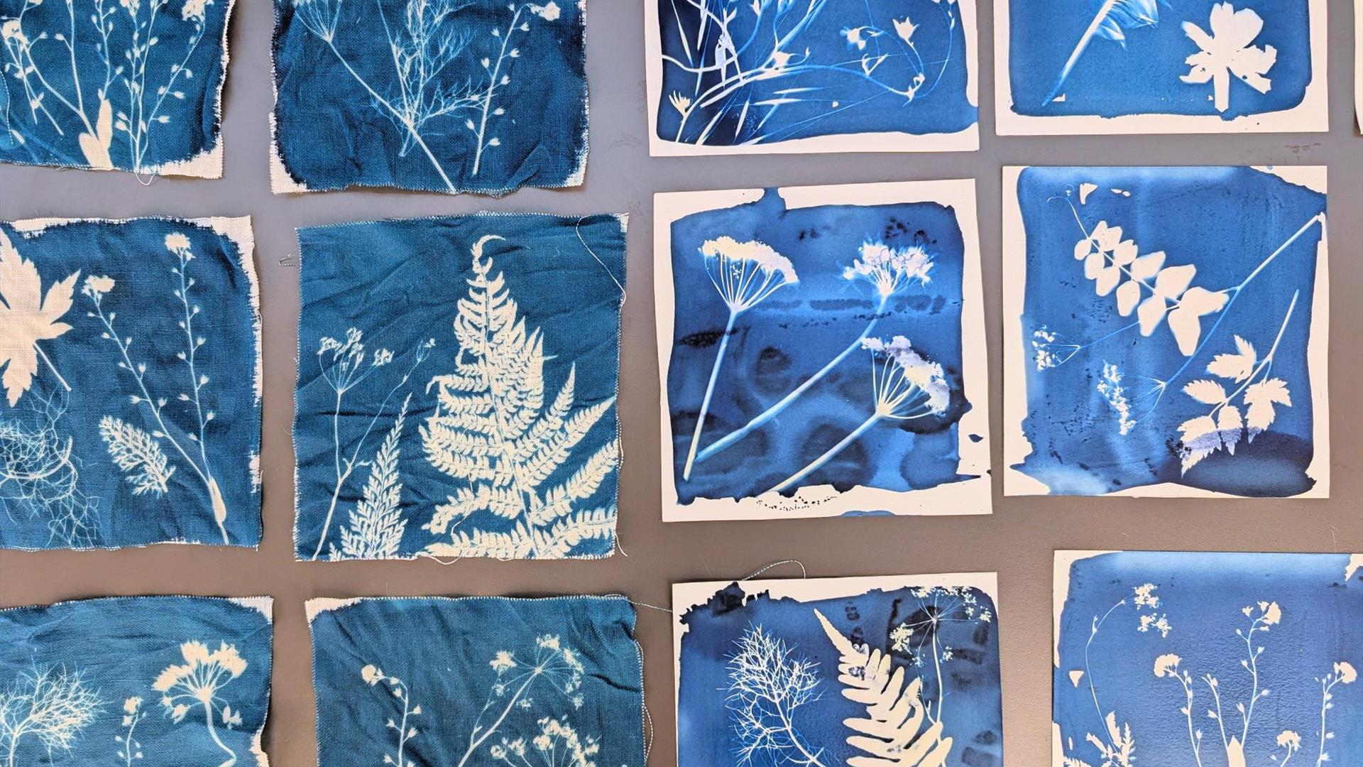 Shorelife Celebration: Cyanotype Workshop