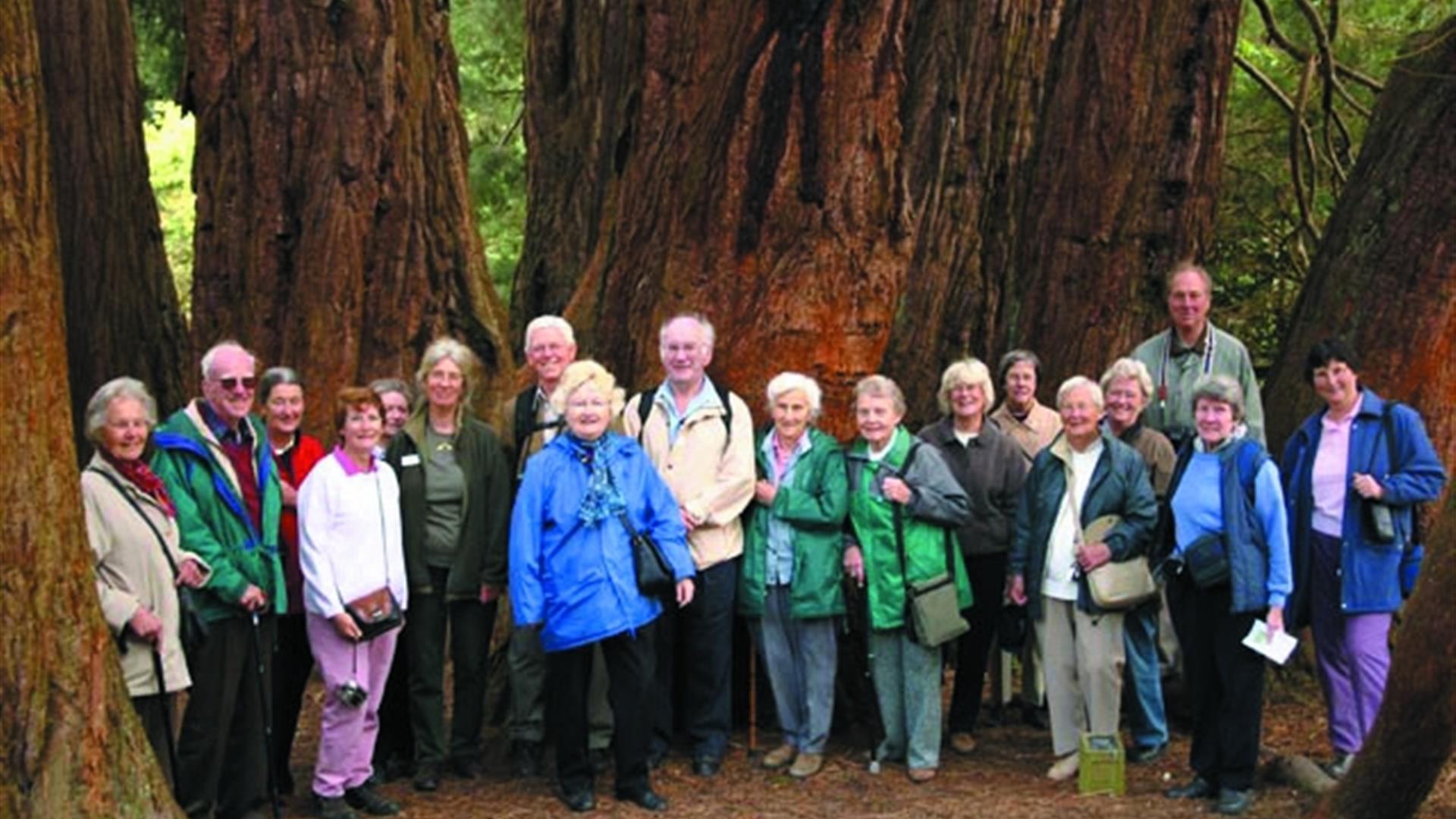 A tour group posing for the photo in the woods
