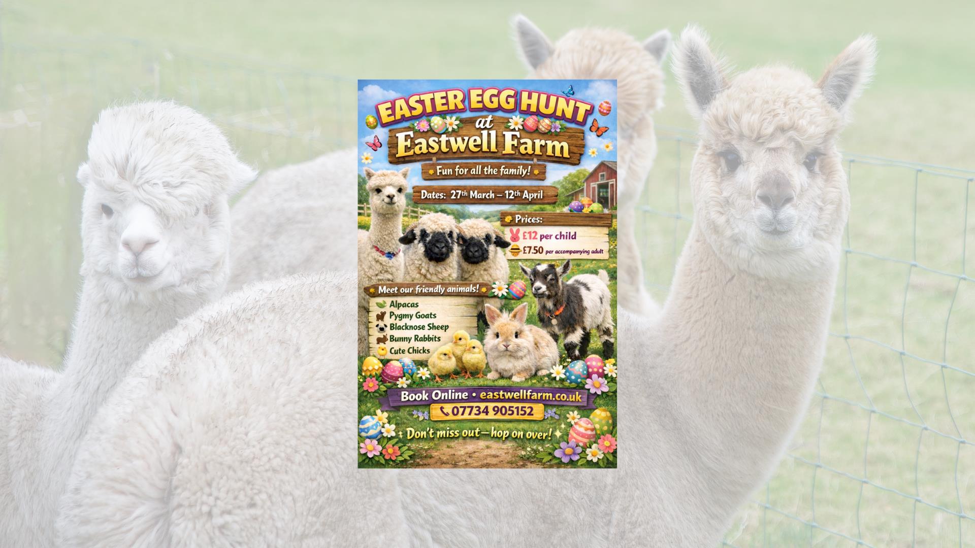 Easter Egg Hunt at Eastwell Farm