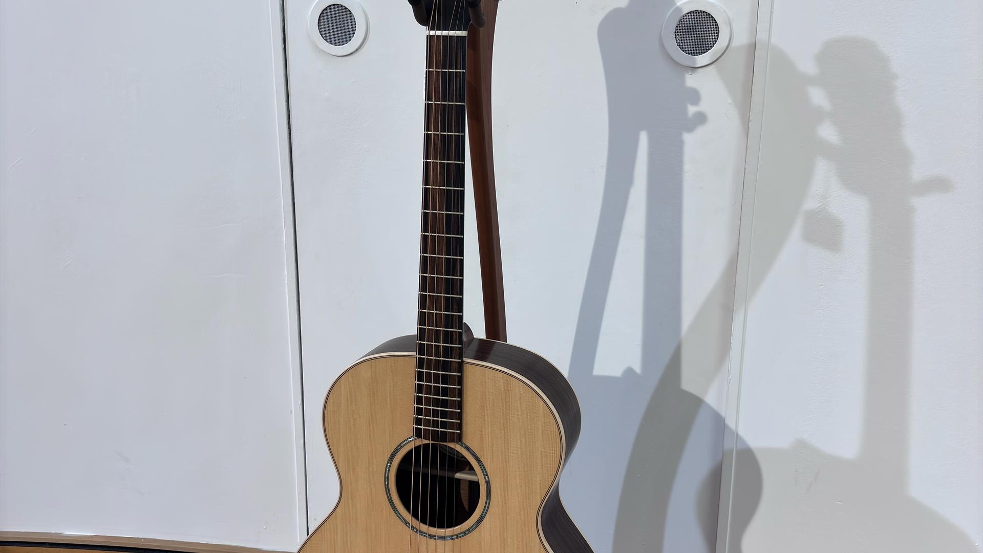 Guitar on a stand