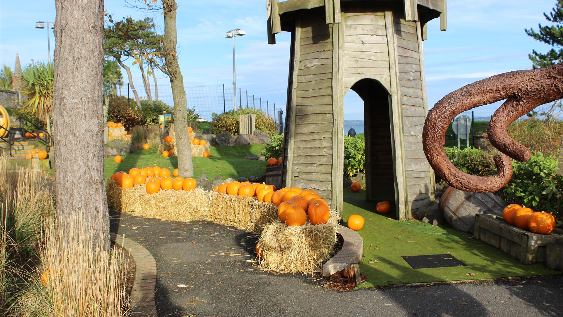 Pumpkins at Pickie Park
