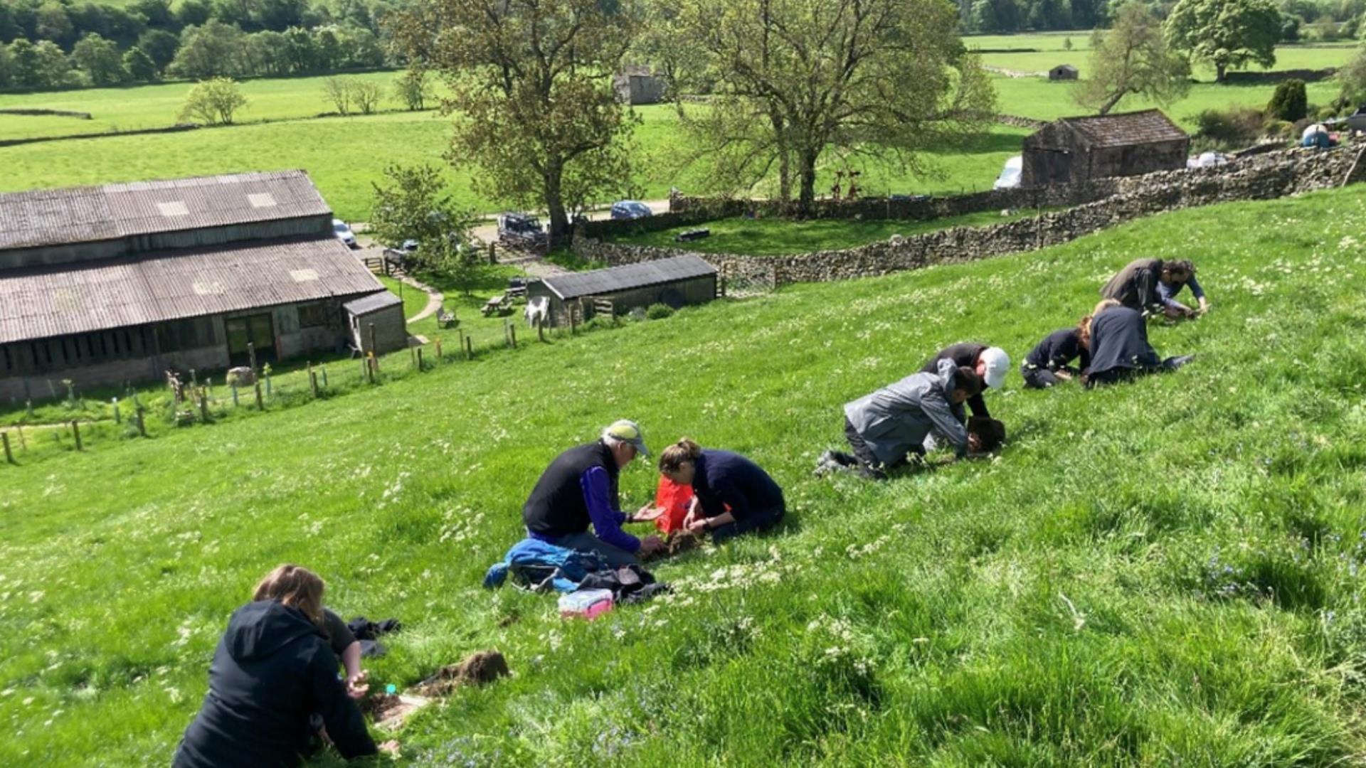 Photo of a group  conducting field research.