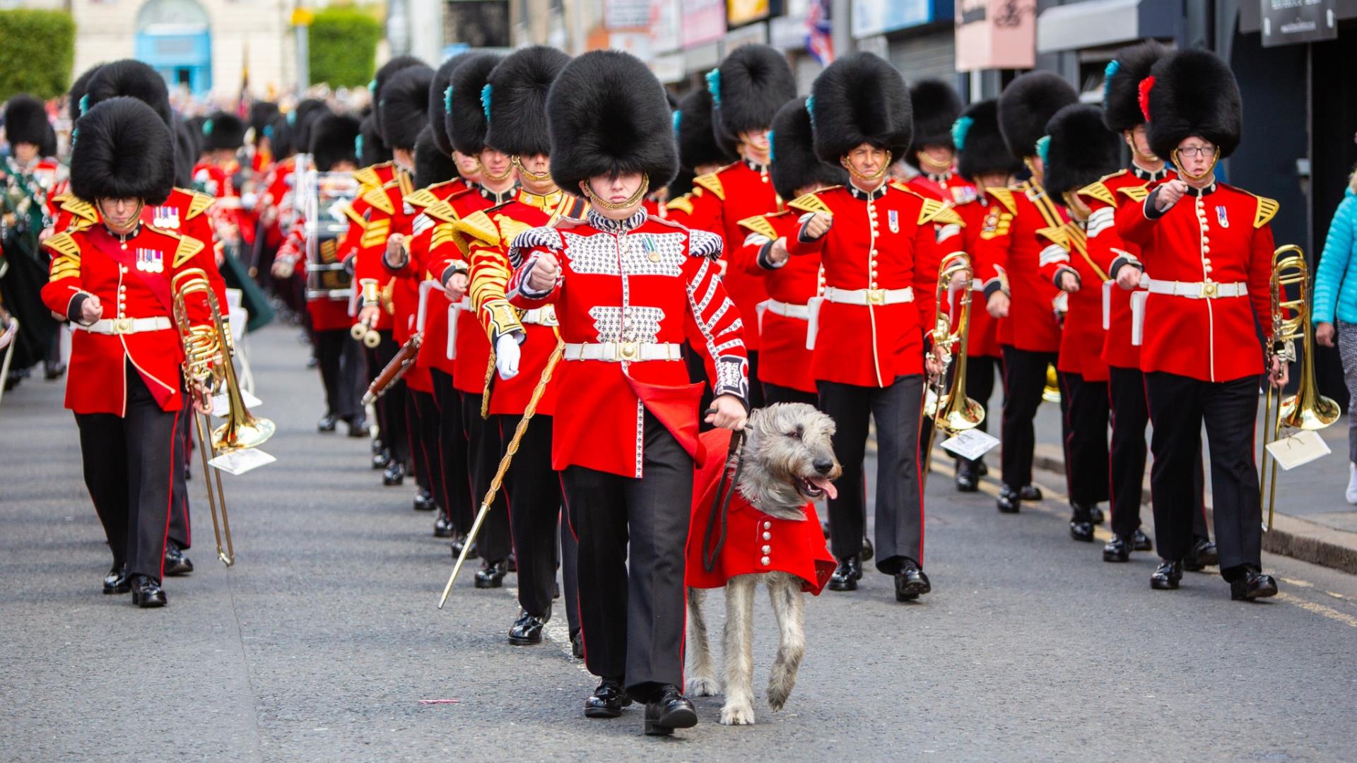 Irish Guards