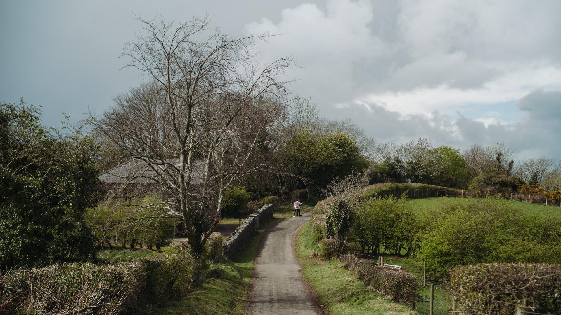 Native Tree Walk at the Ulster Folk Museum