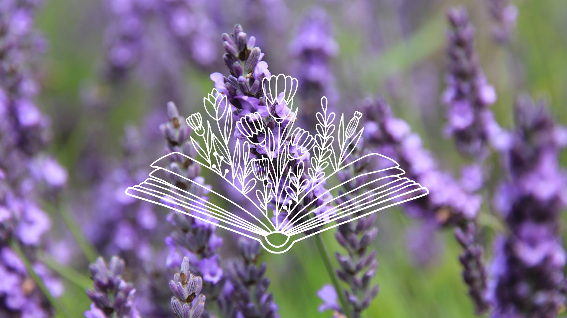 An image of lavender in the background to a drawn picture of flowers coming out of an open book