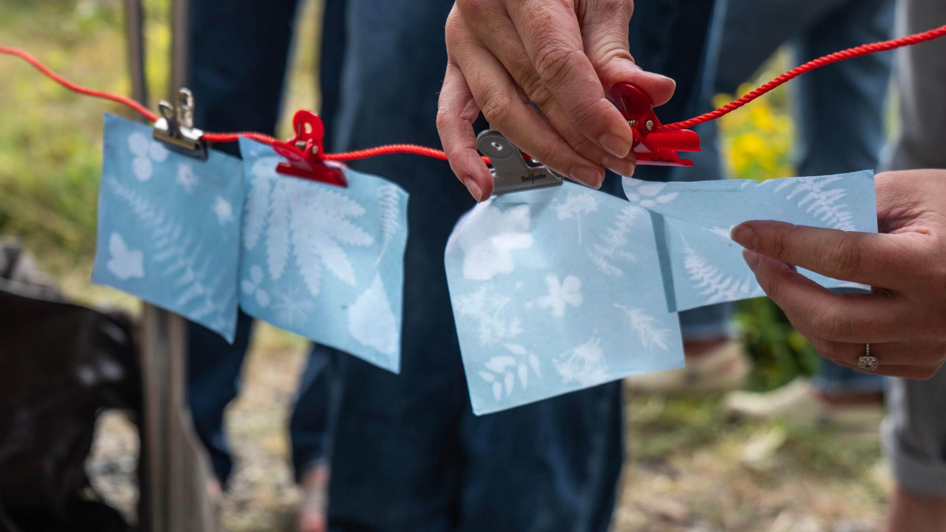 Cyanotype Printing Workshop