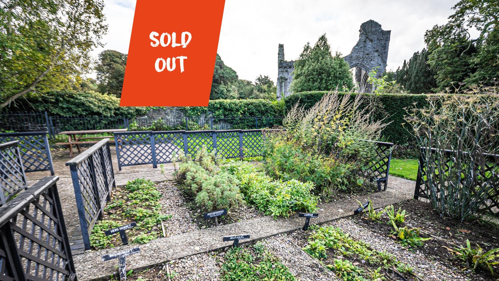 Greyabbey Physic Garden with Abbey in background with the text 'sold out' overlayed