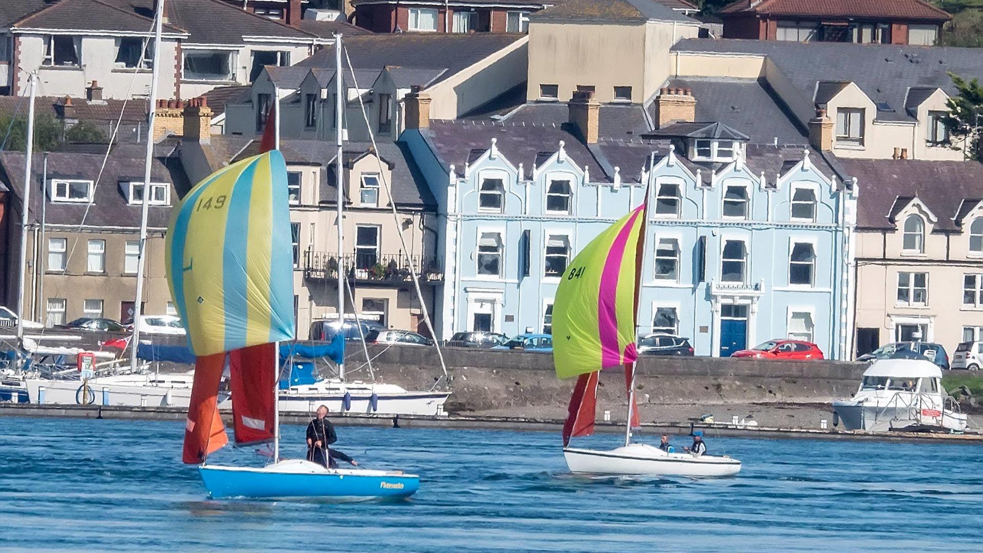 The Narrows Series Regatta/Festival Regatta in Portaferry, Northern