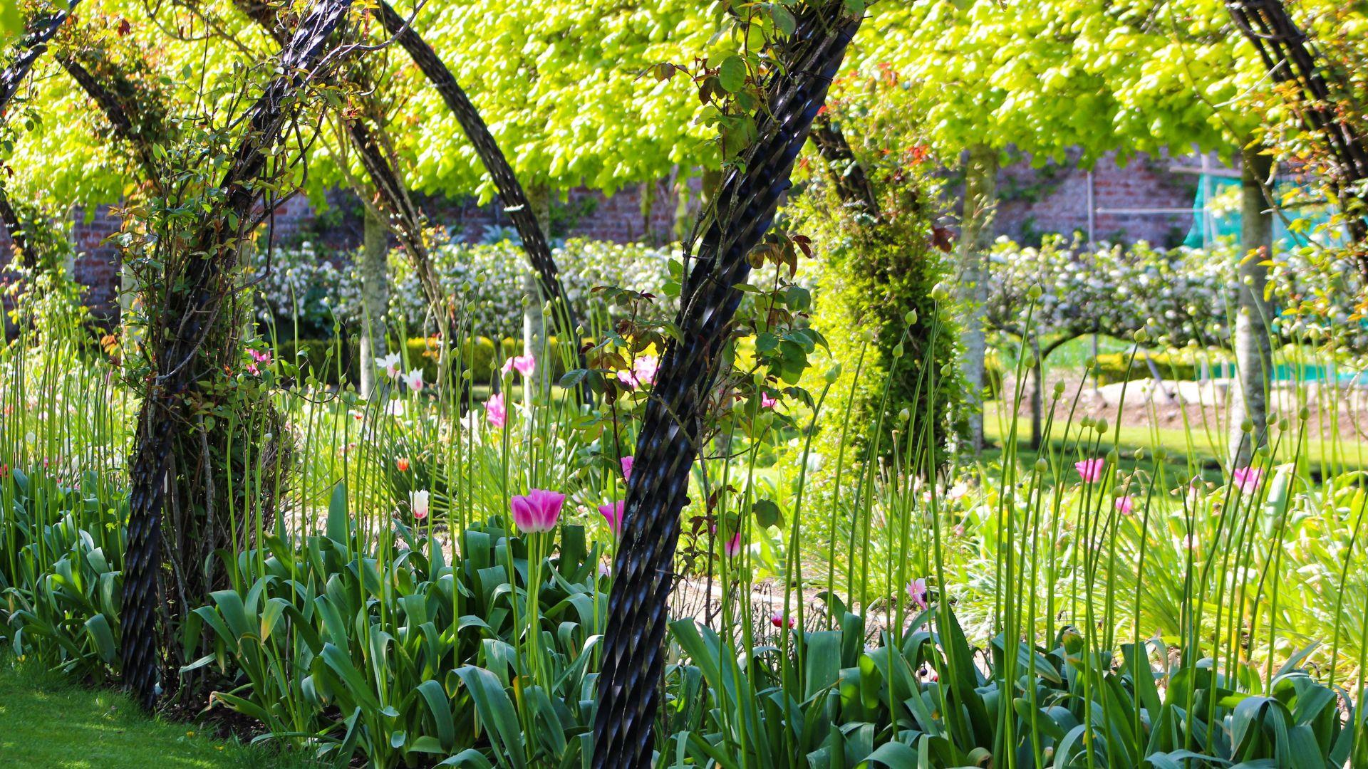 Bangor Castle Walled Garden