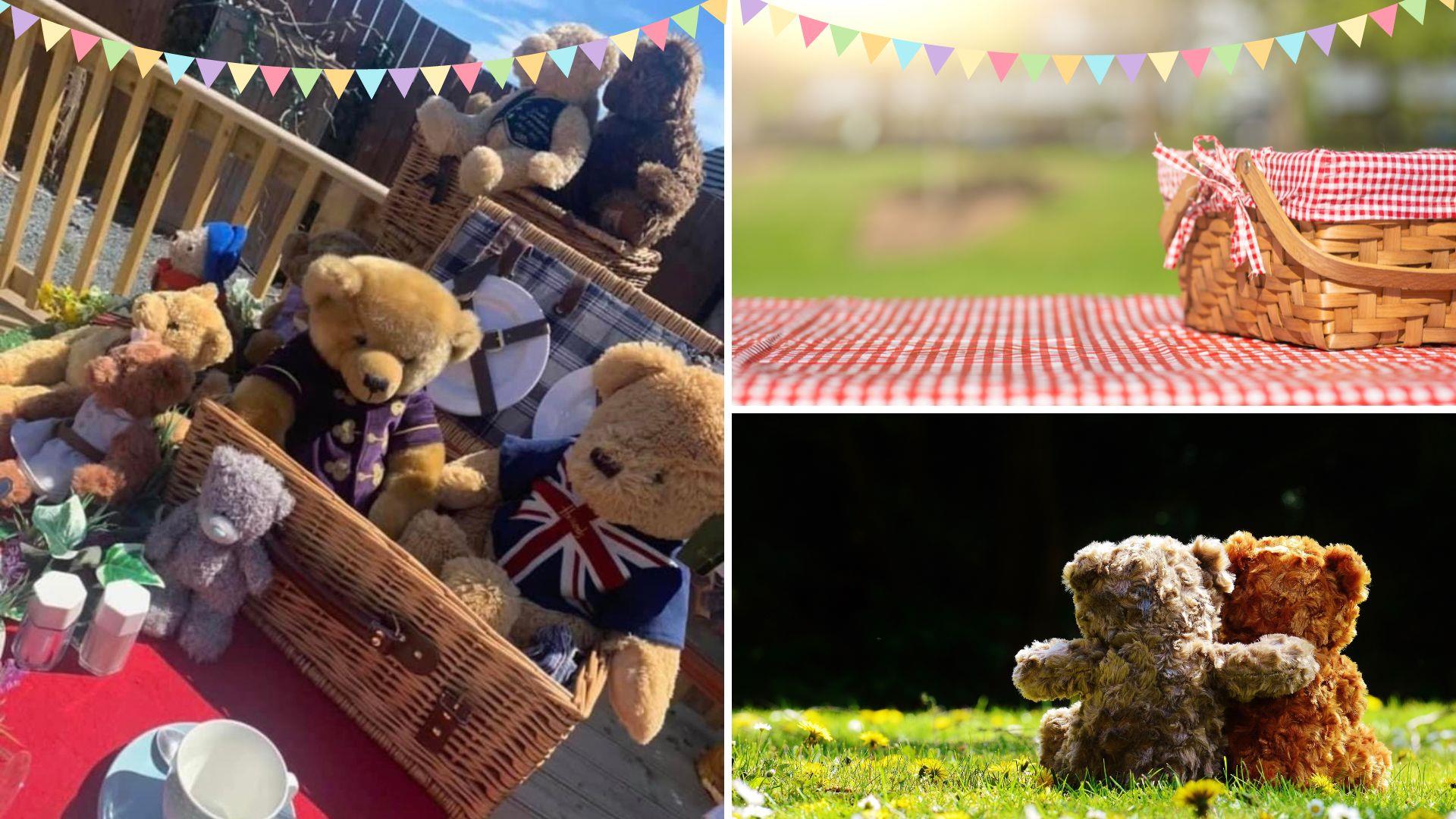 Collage of Teddy's, one pictures is a selection of Teddys in a picnic basket, then a picture of the back of two Teddys as they sit on the grass, and a