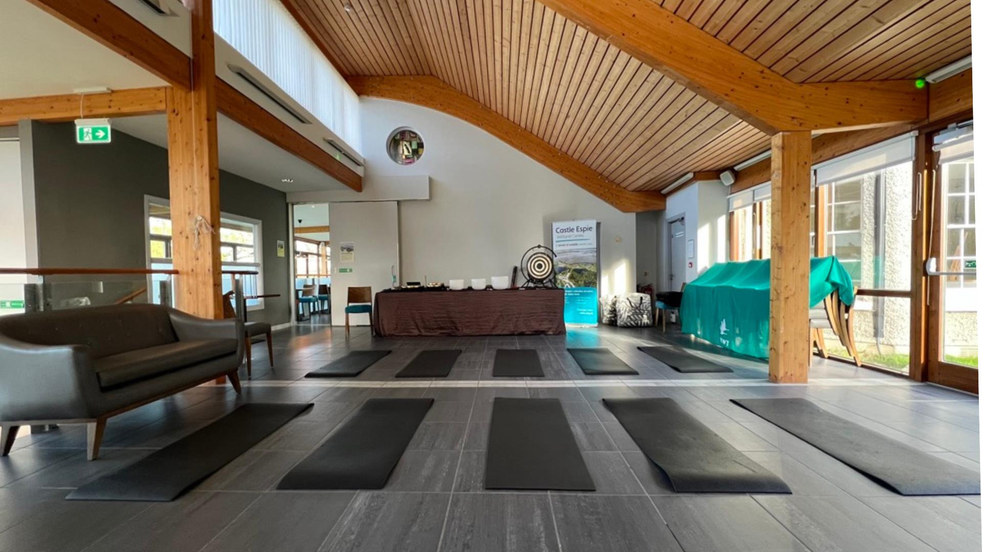 The Sound Healing Spa in the Graffan Room at WWT Castle Espie