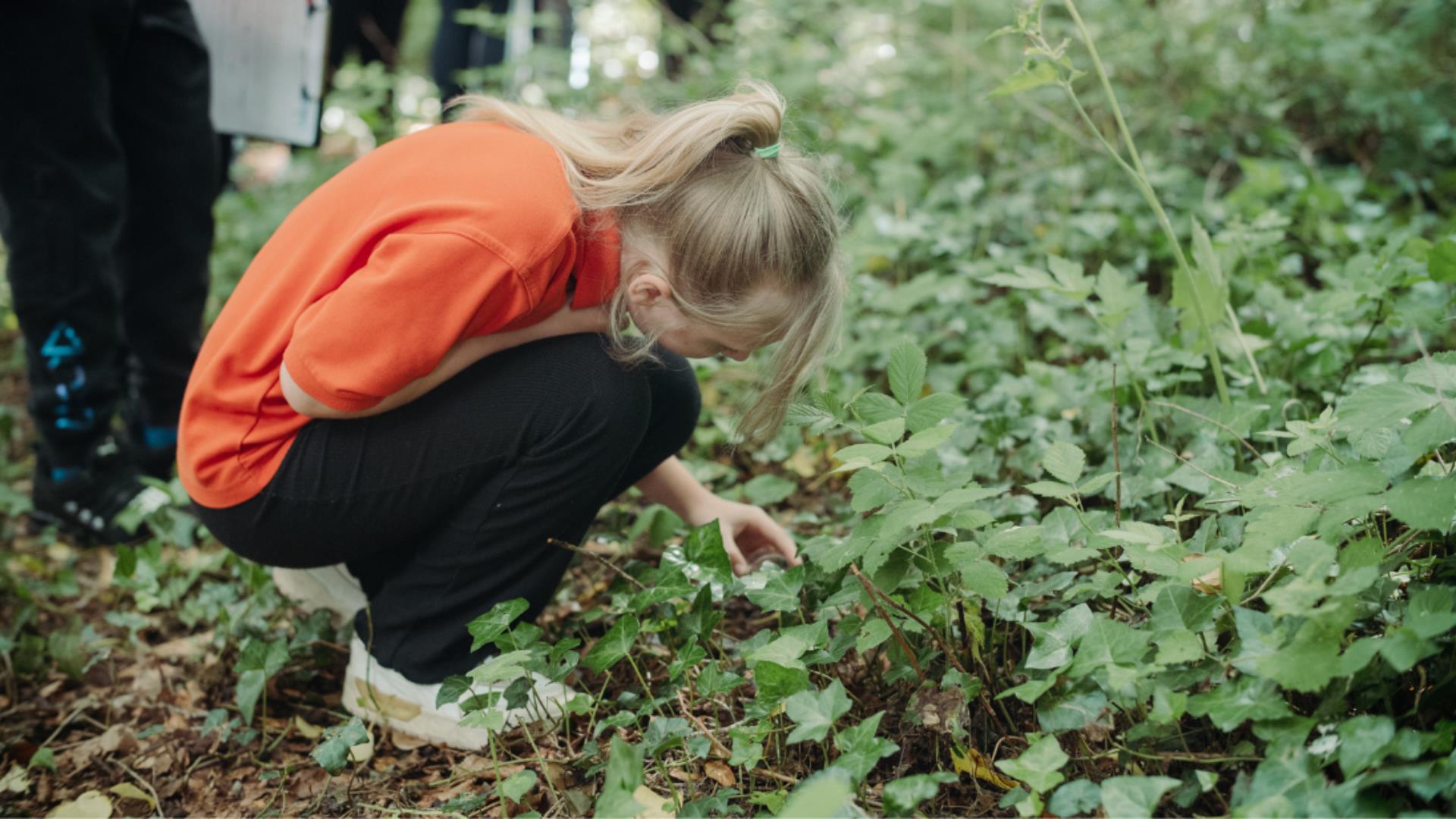 A girl in an orange tshirt exploring green woodlands