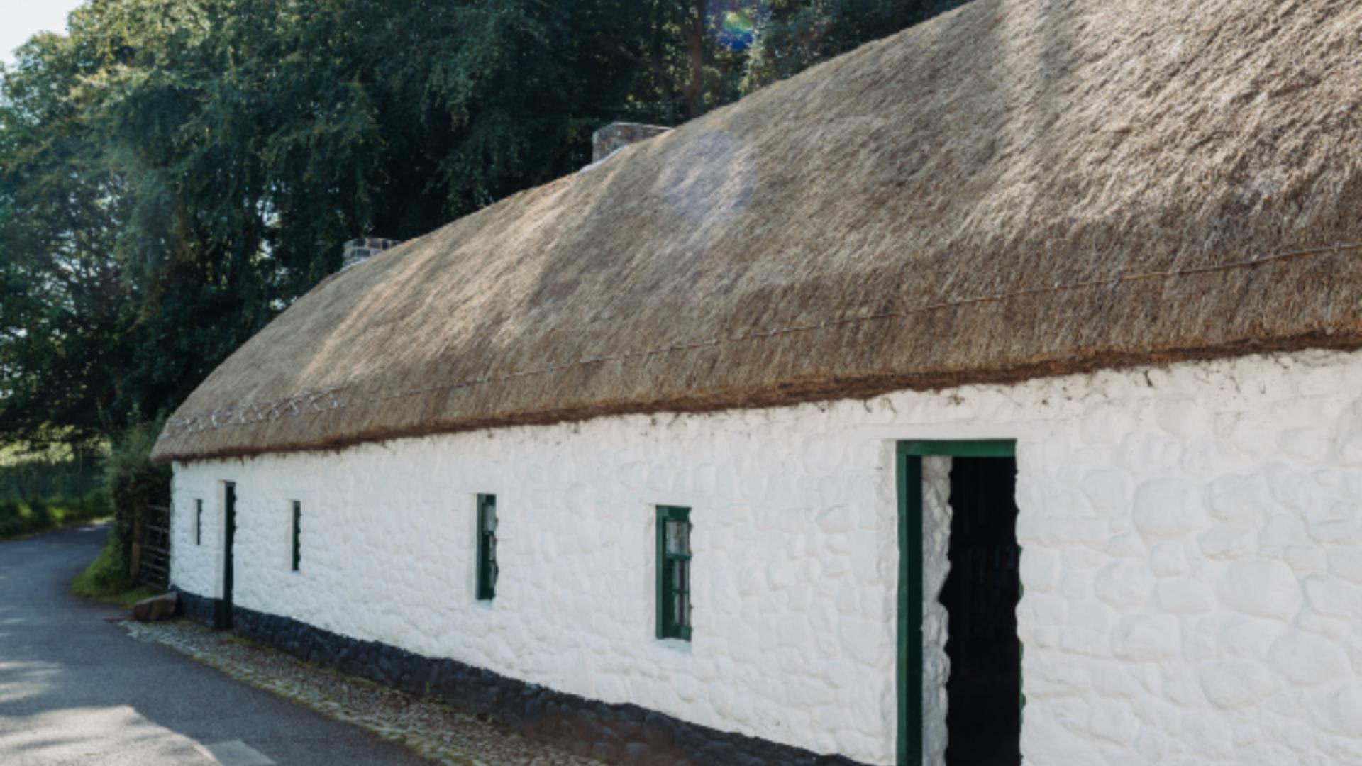 Homes in Focus: Ballyvollen Houses