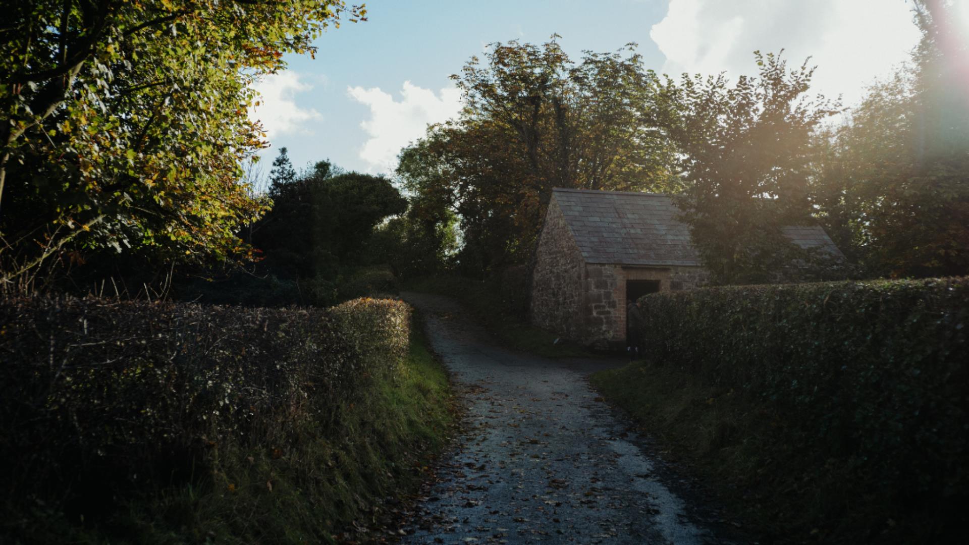 A autumnal rural lane at the ulster folk museum