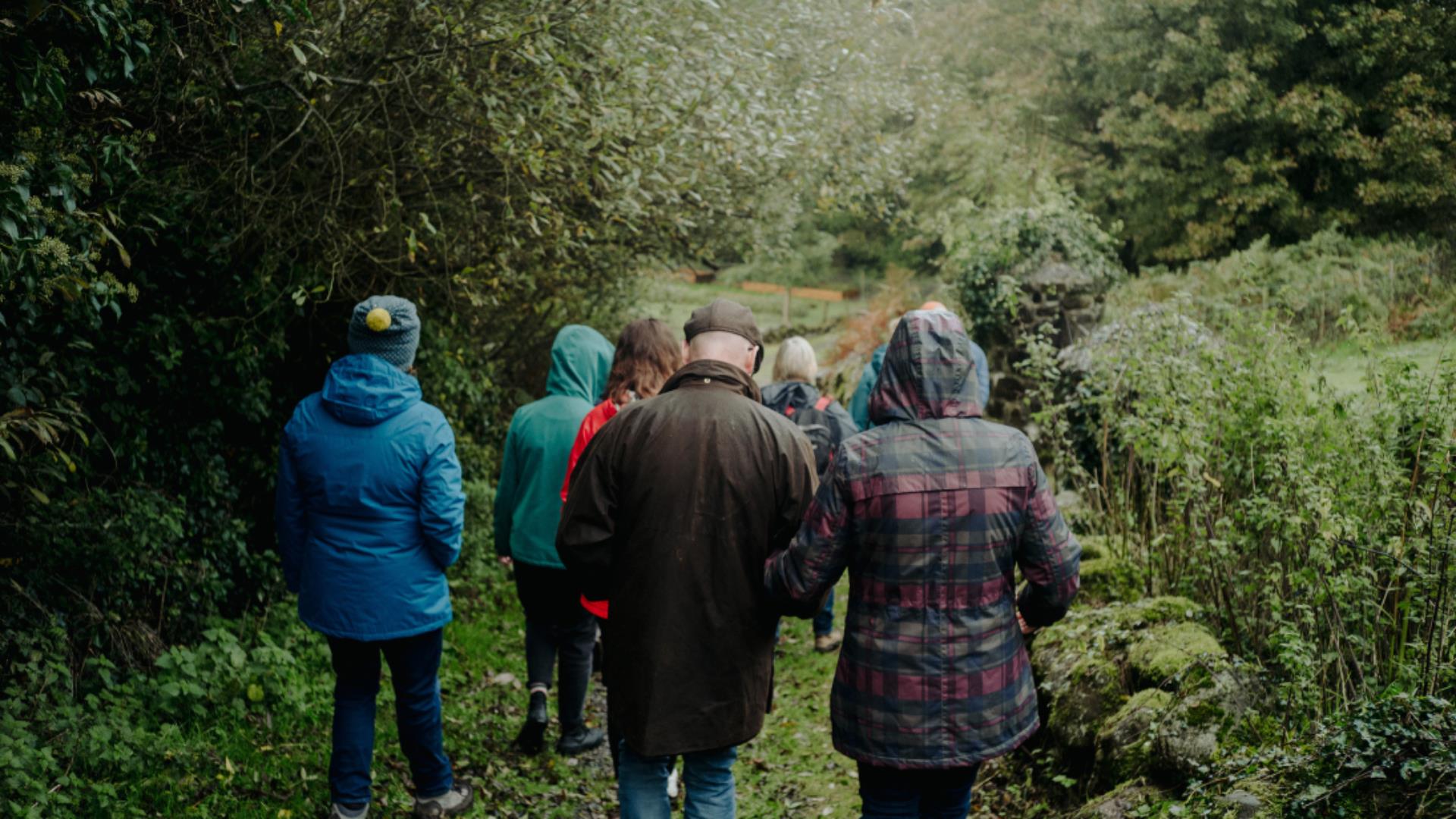 Learn to identify native tree species at the Ulster Folk Museum
