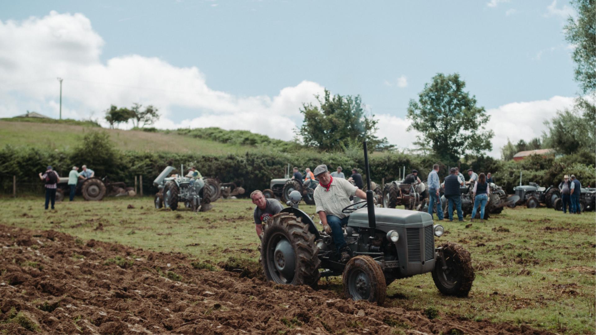 Ferguson Tractor Day at the Ulster Folk Museum