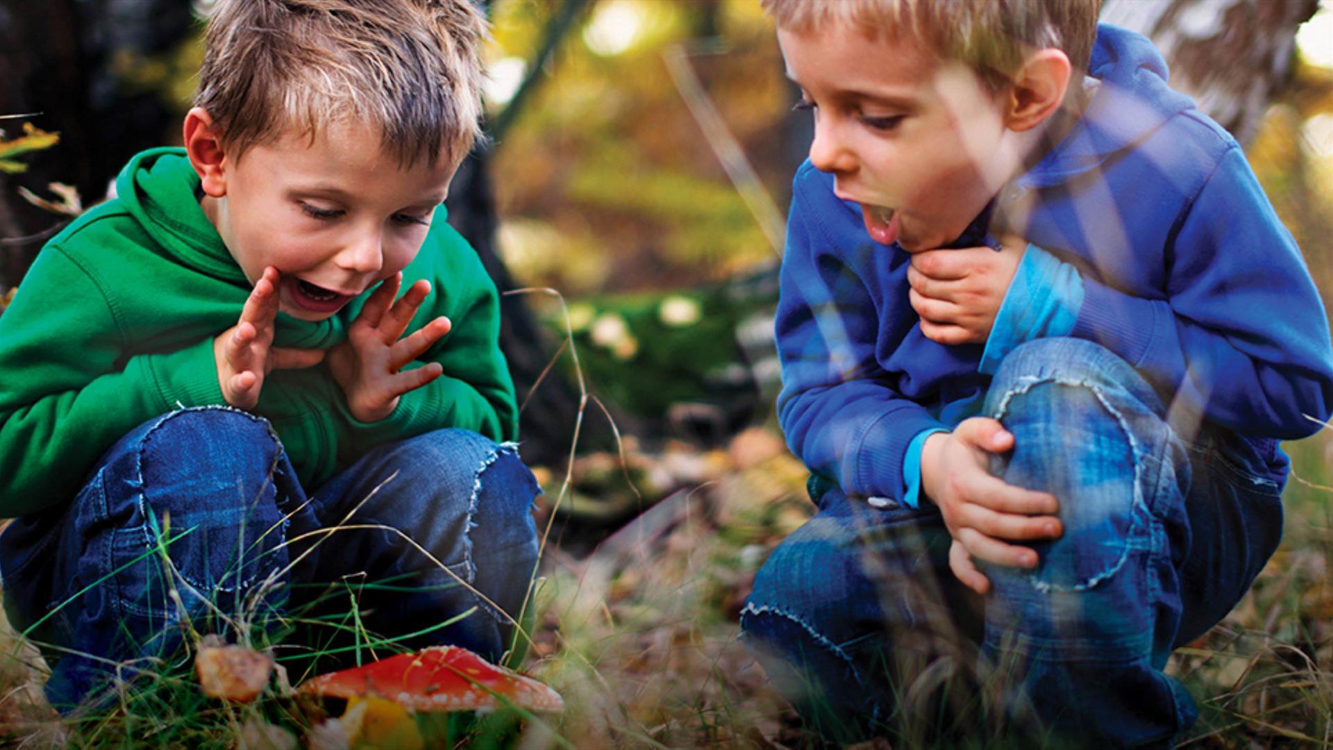 Two boys looking at fungi in the woods.