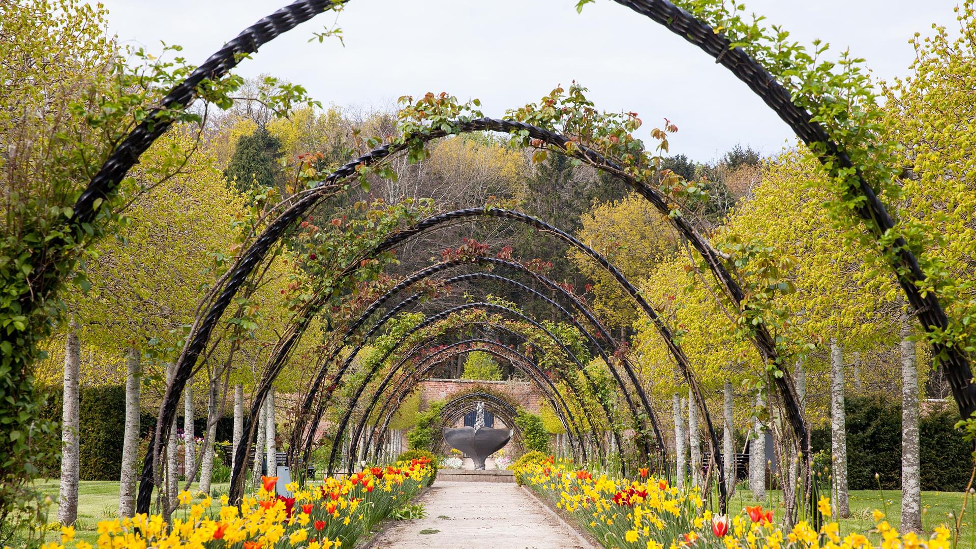 Walled Garden