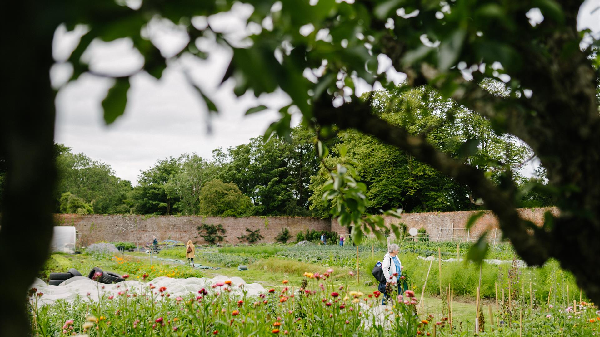 The Walled Garden Helen's Bay