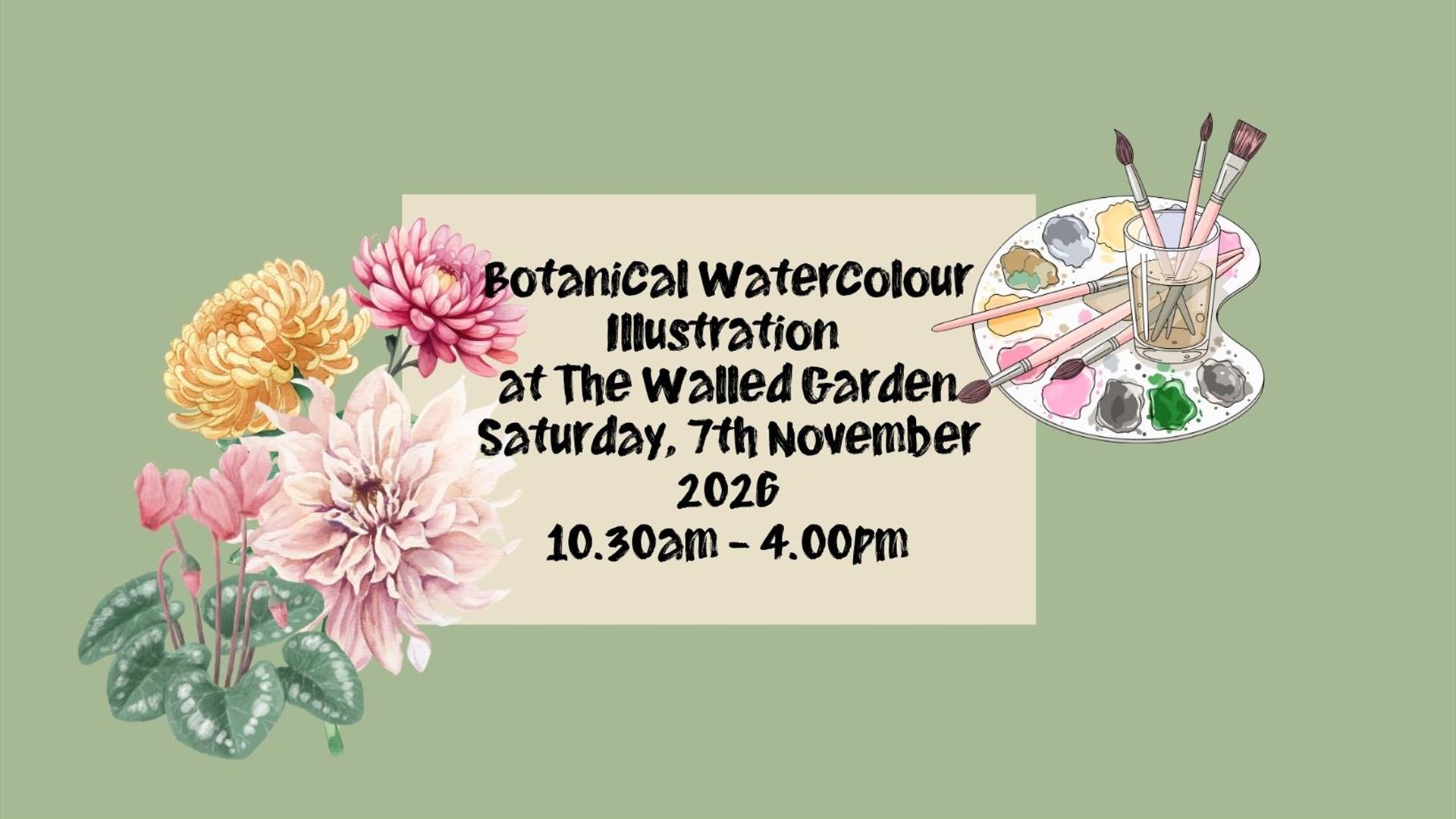Botanical Watercolour Illustration at the Walled Garden