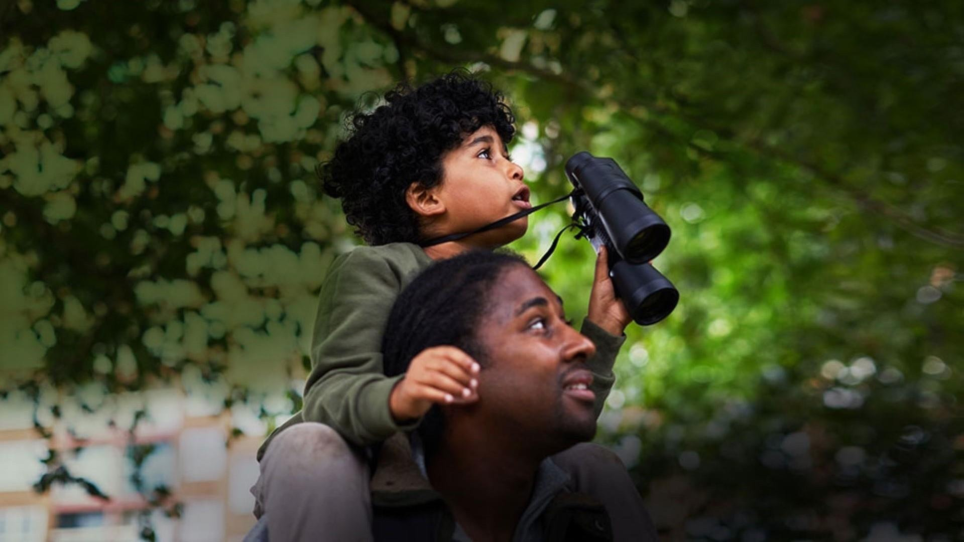 A boy on his father's shoulders, holding binoculars and looking up into the trees.