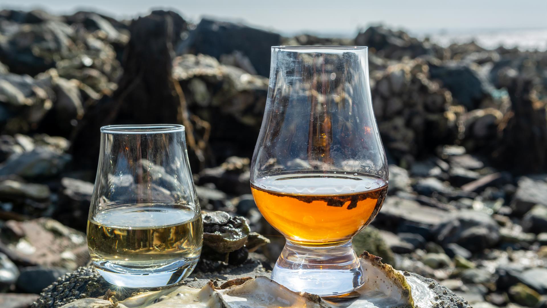 Whiskey tasting tour