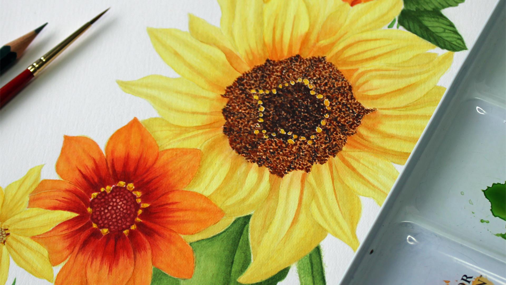 Botanical Watercolour Illustration at the Walled Garden
