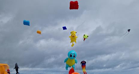 Ards Peninsula Villages Partnership Kite Festival