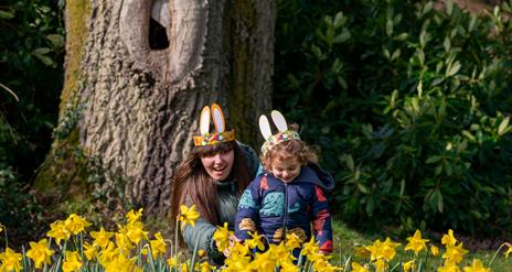 Easter tat Mount stewart