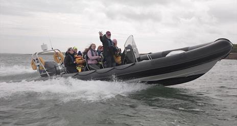 Strangford Lough Boat Trips