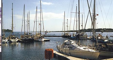 Boats moored at Portaferry Marina