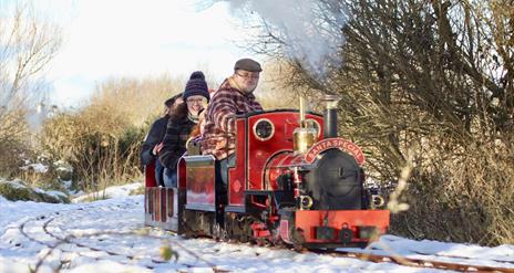 a photo of a group of adults on a small train surrounded by snow and trees