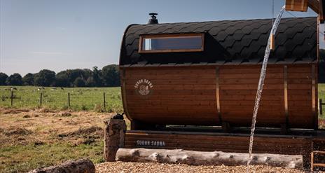 Sauna & Plunge Experience