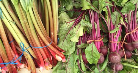 Seasonal vegetables from local produce farmers at Royal Hillsborough Farmers Market