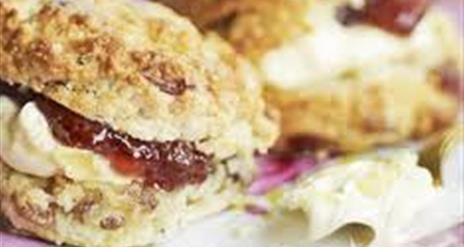 Scones with cream and jam