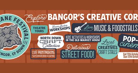 Bingham Lane Festival banner