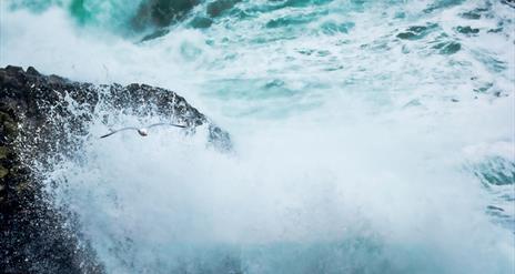 A seagull flies over crashing waves