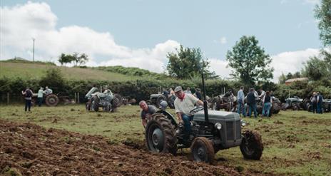 Ferguson Tractor Day