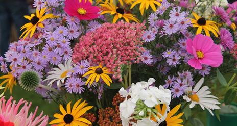 Flowers