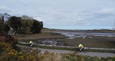 Electric Picnic Bike Tour of Strangford Lough