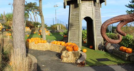 Pumpkins at Pickie Park