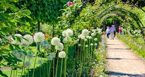 Walled Garden