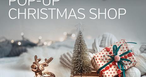 Museum Pop Up Shop