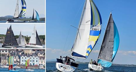 Collage of sailing boats on Strangford Lough