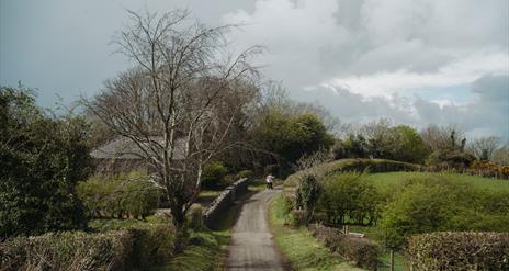 Native Tree Walk at the Ulster Folk Museum