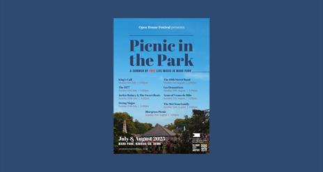 2025 Picnic in the Park poster