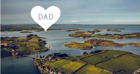 Sketrick Island and Strangford Lough